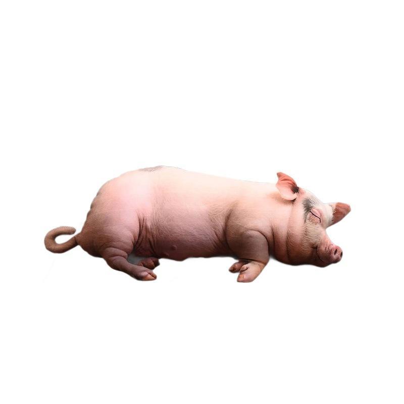 Peluche de Cerdo Durmiente Rea - Home Office With Sofa reseña y precio
