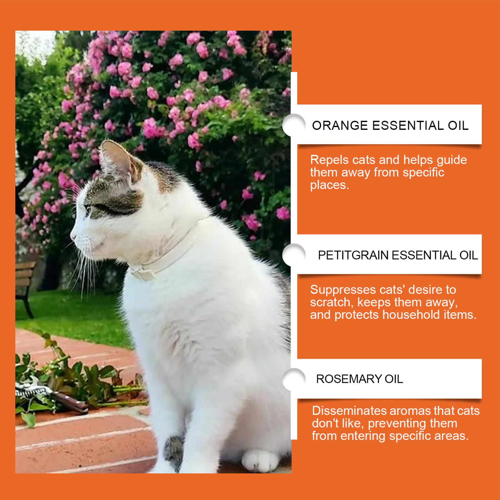 Spray Antirrasguños para Gatos - Home Office With Sofa reseña y precio