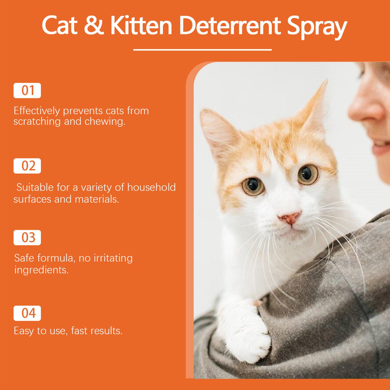 Spray Antirrasguños para Gatos - Home Office With Sofa reseña y precio